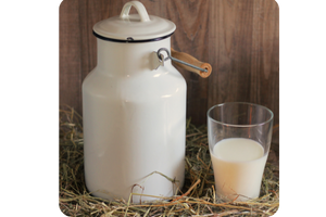The Benefits of Cow’s Milk for Recovery
