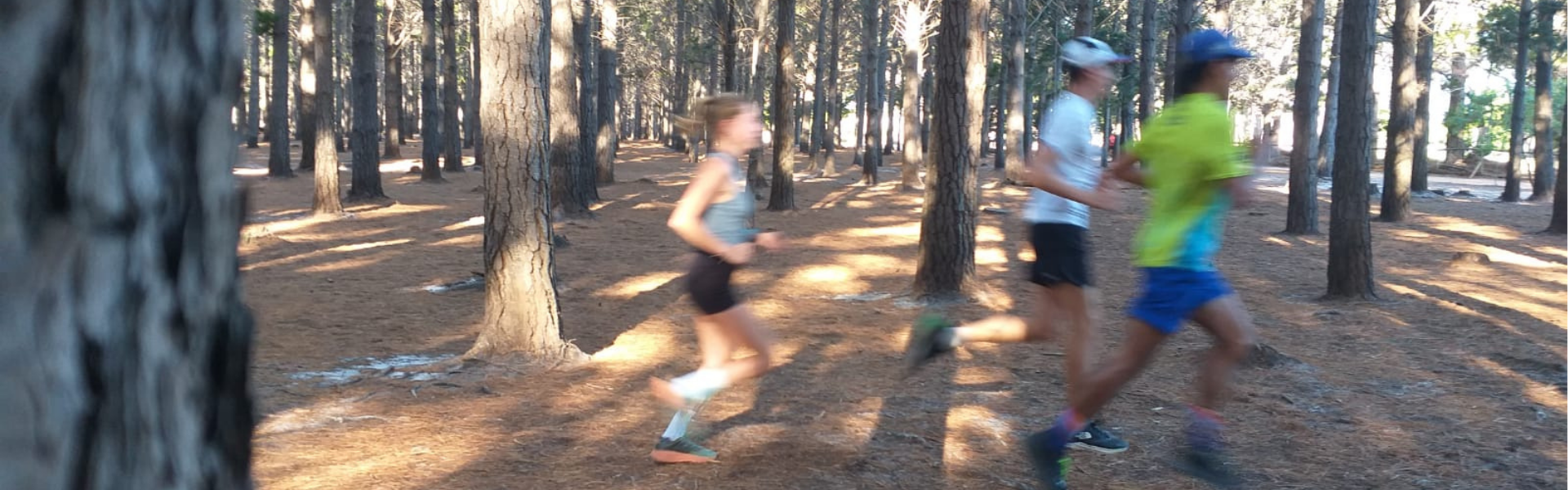 Website Group Training Header